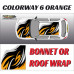 DIGITALLY PRINTED WRAP TYPE 13 (BONNET OR ROOF) DIGITALLY PRINTED WRAP TYPE 13 (BONNET OR ROOF)