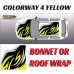 DIGITALLY PRINTED WRAP TYPE 13 (BONNET OR ROOF) DIGITALLY PRINTED WRAP TYPE 13 (BONNET OR ROOF)