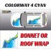 DIGITALLY PRINTED WRAP TYPE 14 (BONNET OR ROOF)