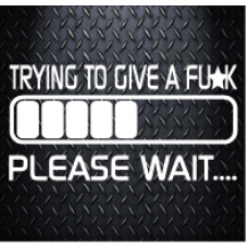 TRYING TO GIVE A FUXK 200MM X 100MM Vinyl Decal Sticker